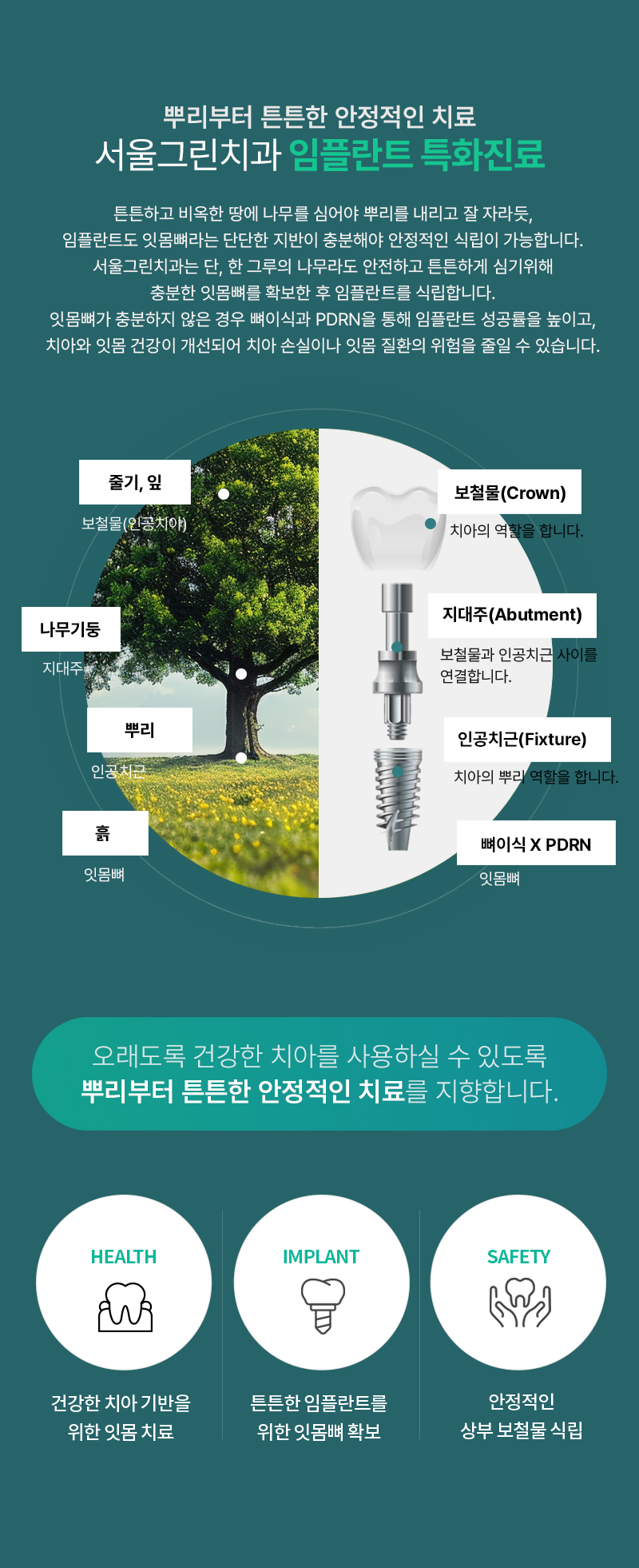 정확한 진단에 따른 면밀한 진료 계획